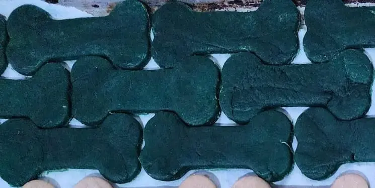 Galletas ESPIRULINA - 300GR 