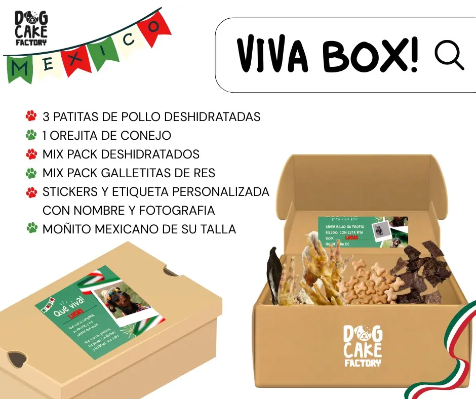 VIVA BOX - 1PZA