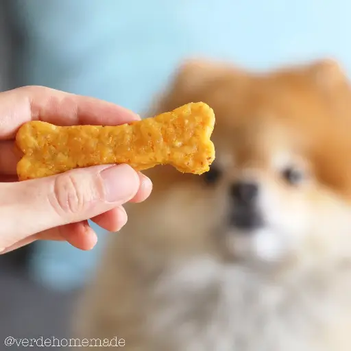 [GALLZANAHORIA] Galletas ZANAHORIA - 300GR 