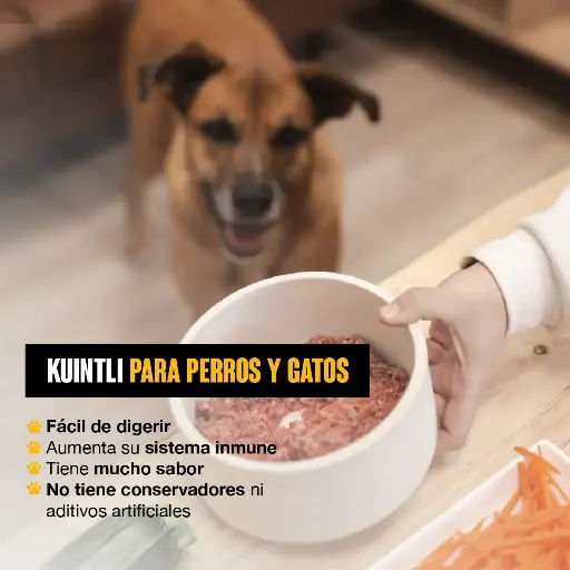 [KITINICIAL] KIT INICIAL - KUINTLI PARA NUEVOS COMENSALES