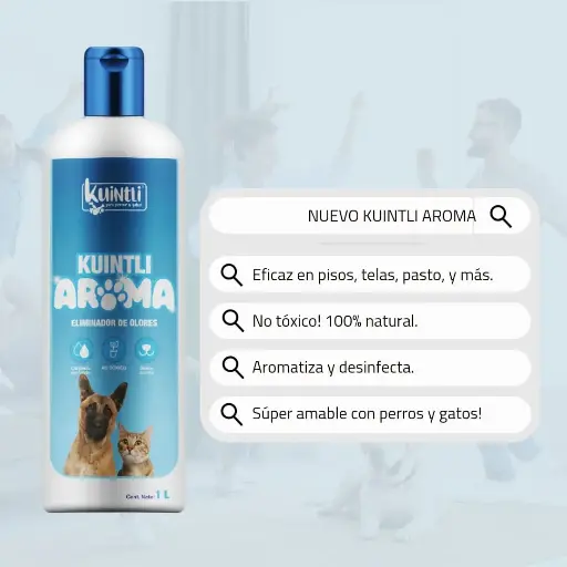 [AROMA1LT] Aroma 1lt - KUINTLI